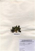 藏品(大葉仙掌藻)的圖片